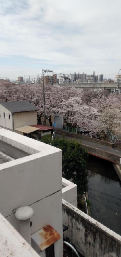 Cherry Blossom Koseicho Okayama Exterior photo